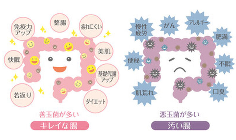 画像1511